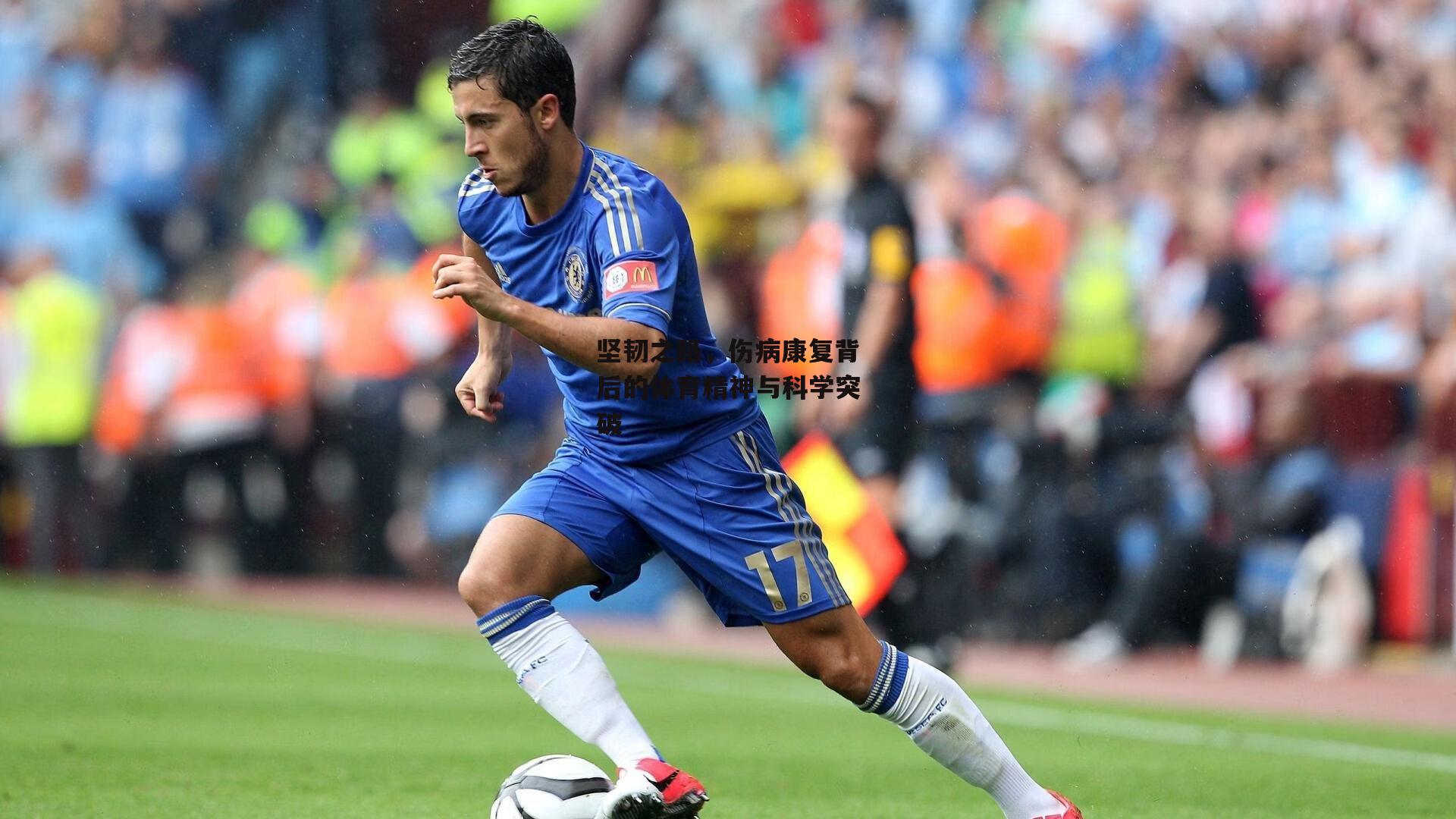 坚韧之路,伤病康复背后的体育精神与科学突破