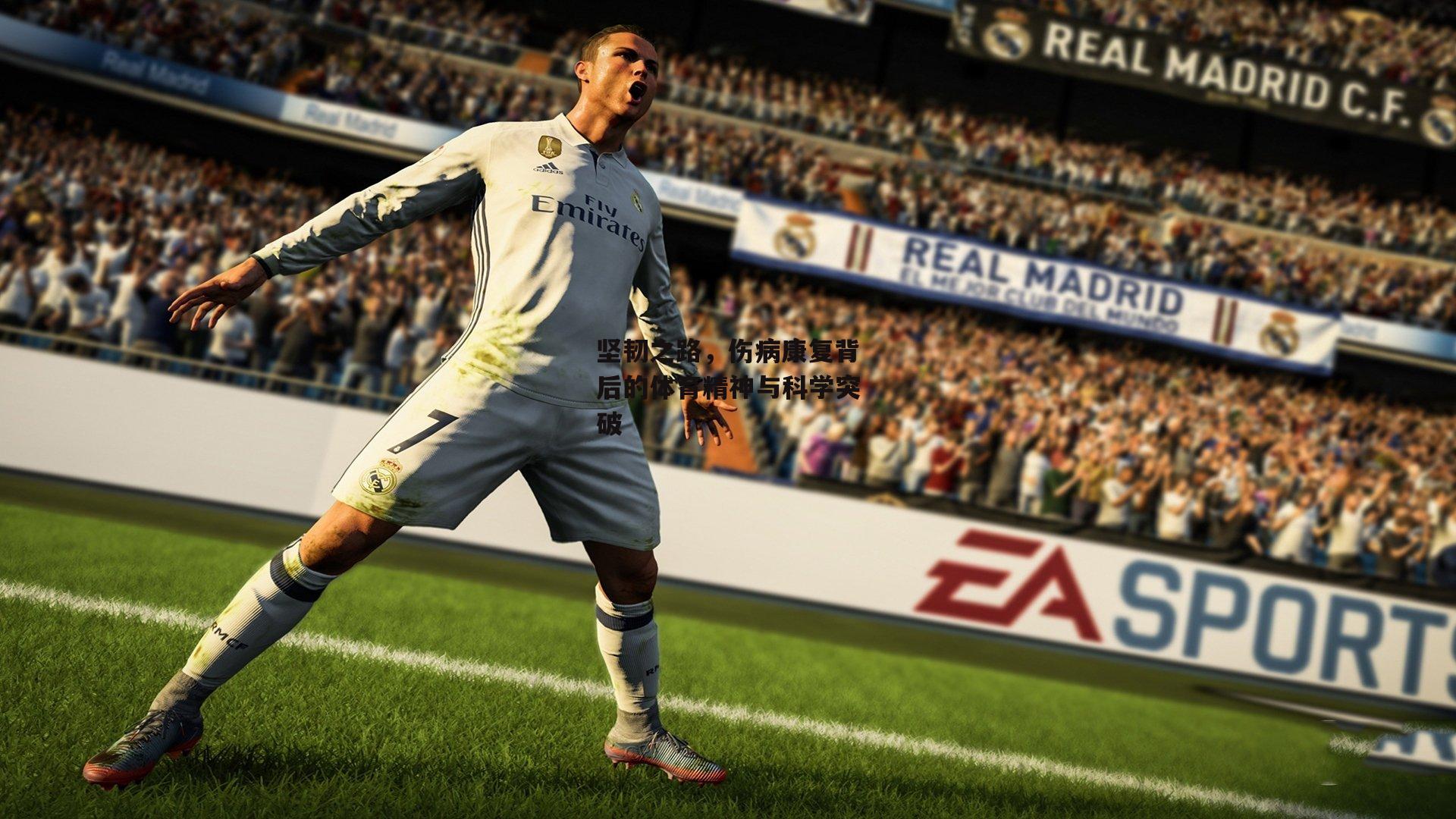 坚韧之路,伤病康复背后的体育精神与科学突破